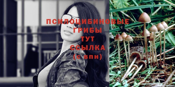 синтетический гашиш Лихославль