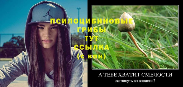 MDMA Premium VHQ Ладушкин