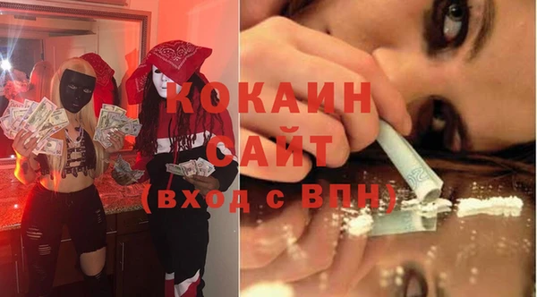 шишки Волосово
