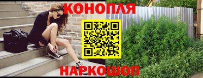 индика Новокубанск