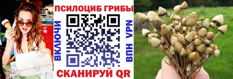 Псилоцибиновые грибы ЛСД  Темрюк 